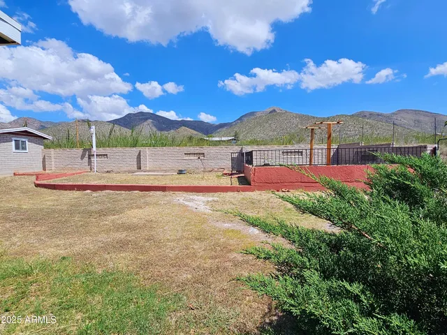 a view of large trees with a big yard