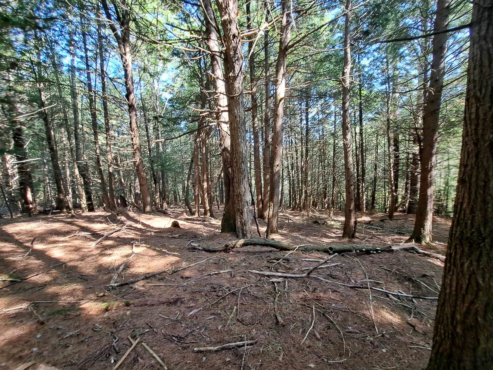 Waterthorn Road, Unit 19 Thornton, NH 03285 - Photo 1 of 5