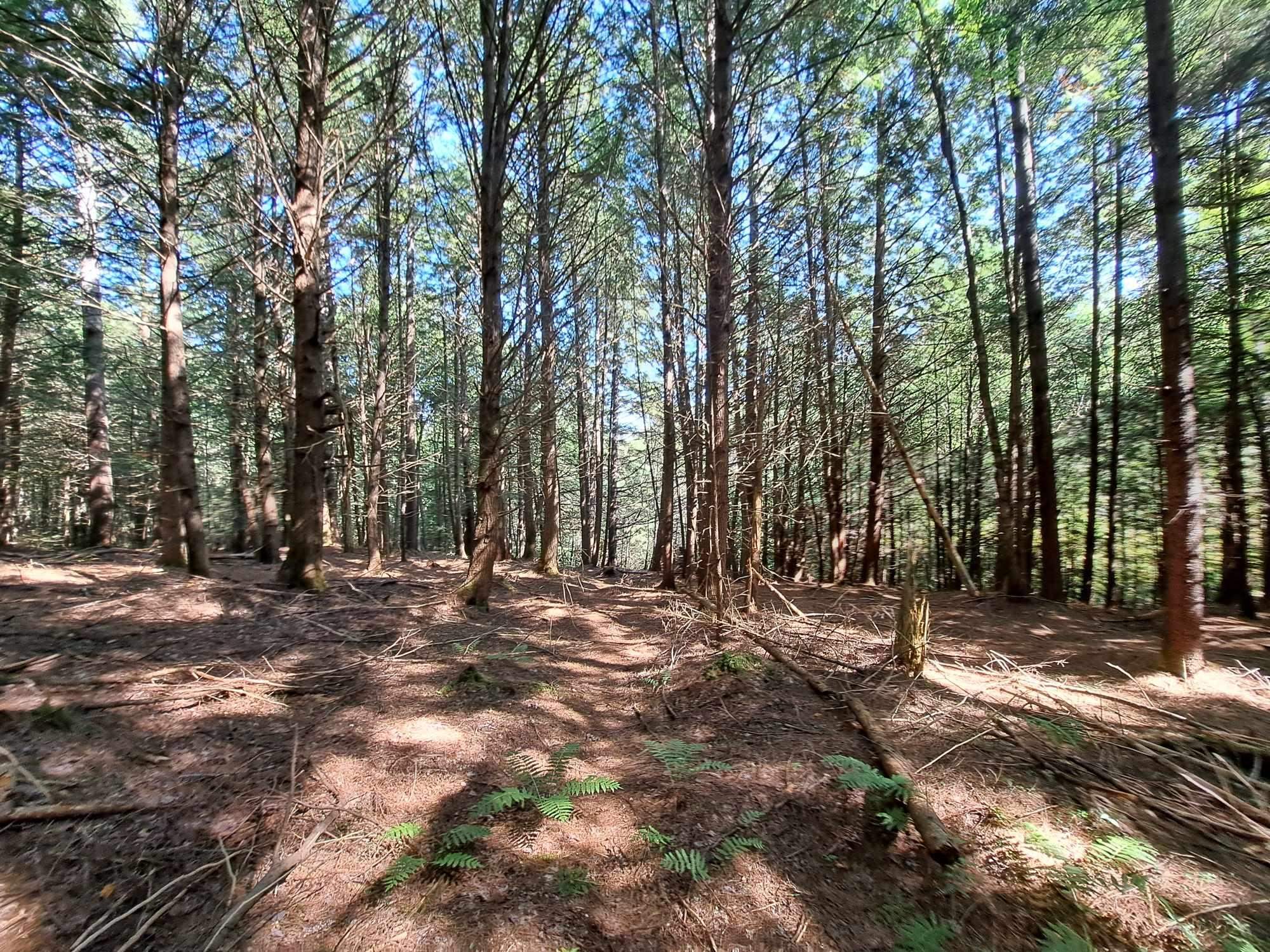 Waterthorn Road, Unit 19 Thornton, NH 03285 - Photo 2 of 5