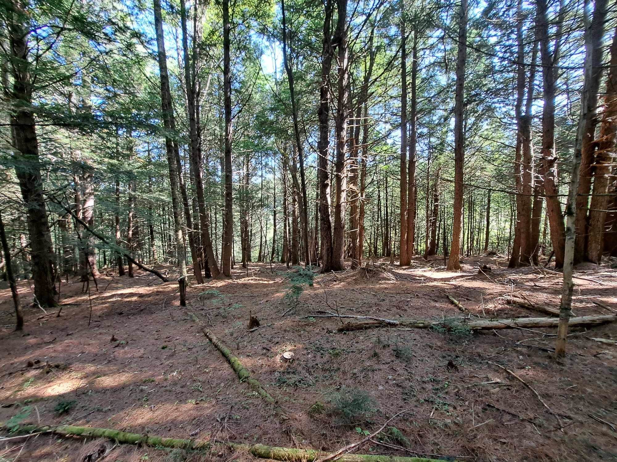 Waterthorn Road, Unit 19 Thornton, NH 03285 - Photo 4 of 5