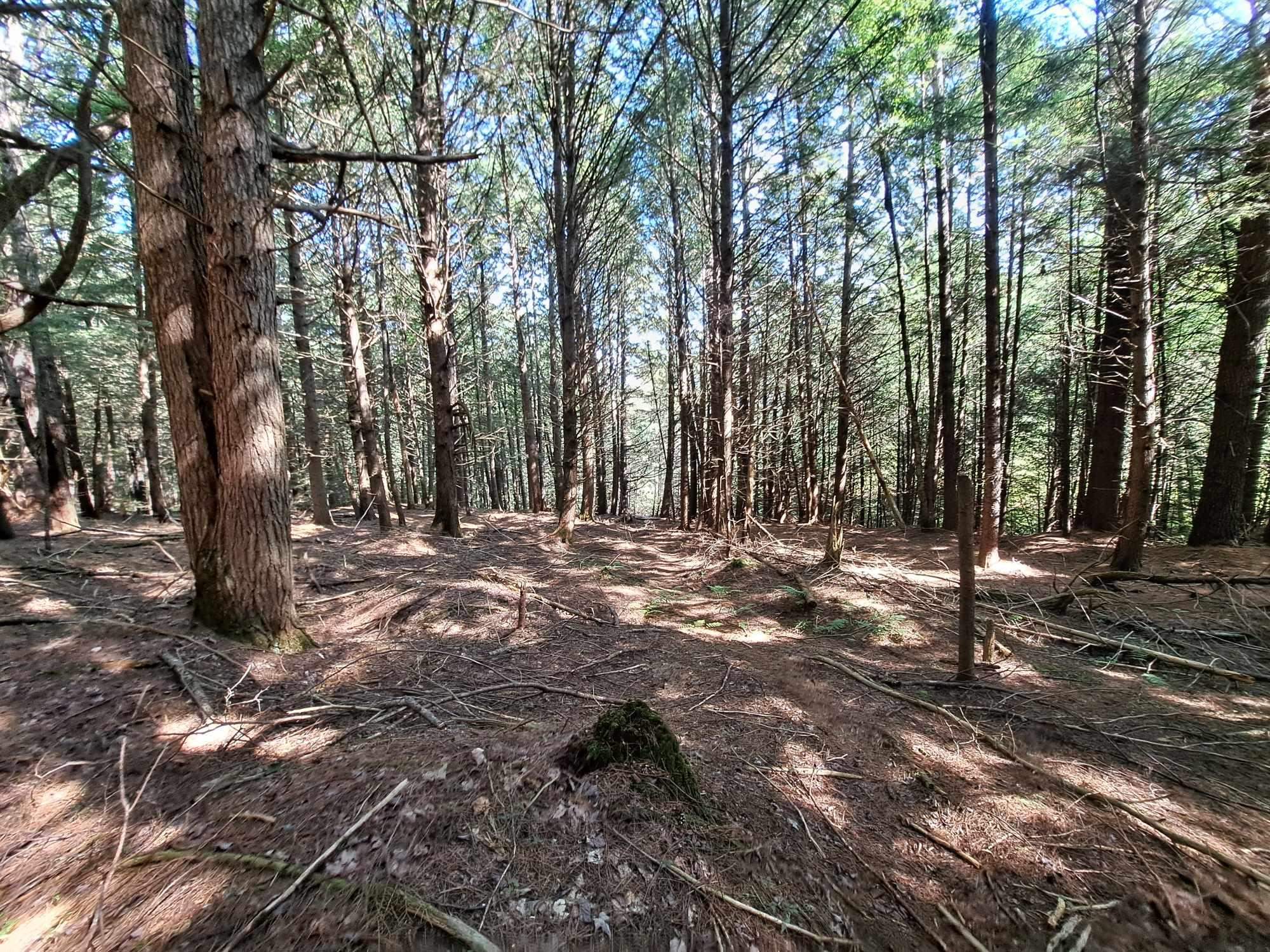 Waterthorn Road, Unit 19 Thornton, NH 03285 - Photo 5 of 5
