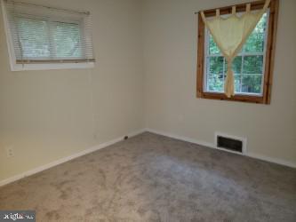 6909 Quander Road Alexandria, VA 22307 - Photo 19 of 36 PRIMARY MAIN LEVEL BEDROOM
