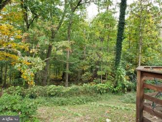 6909 Quander Road Alexandria, VA 22307 - Photo 30 of 36 VIEW OF DECK AND WOODS FROM BACKYARD