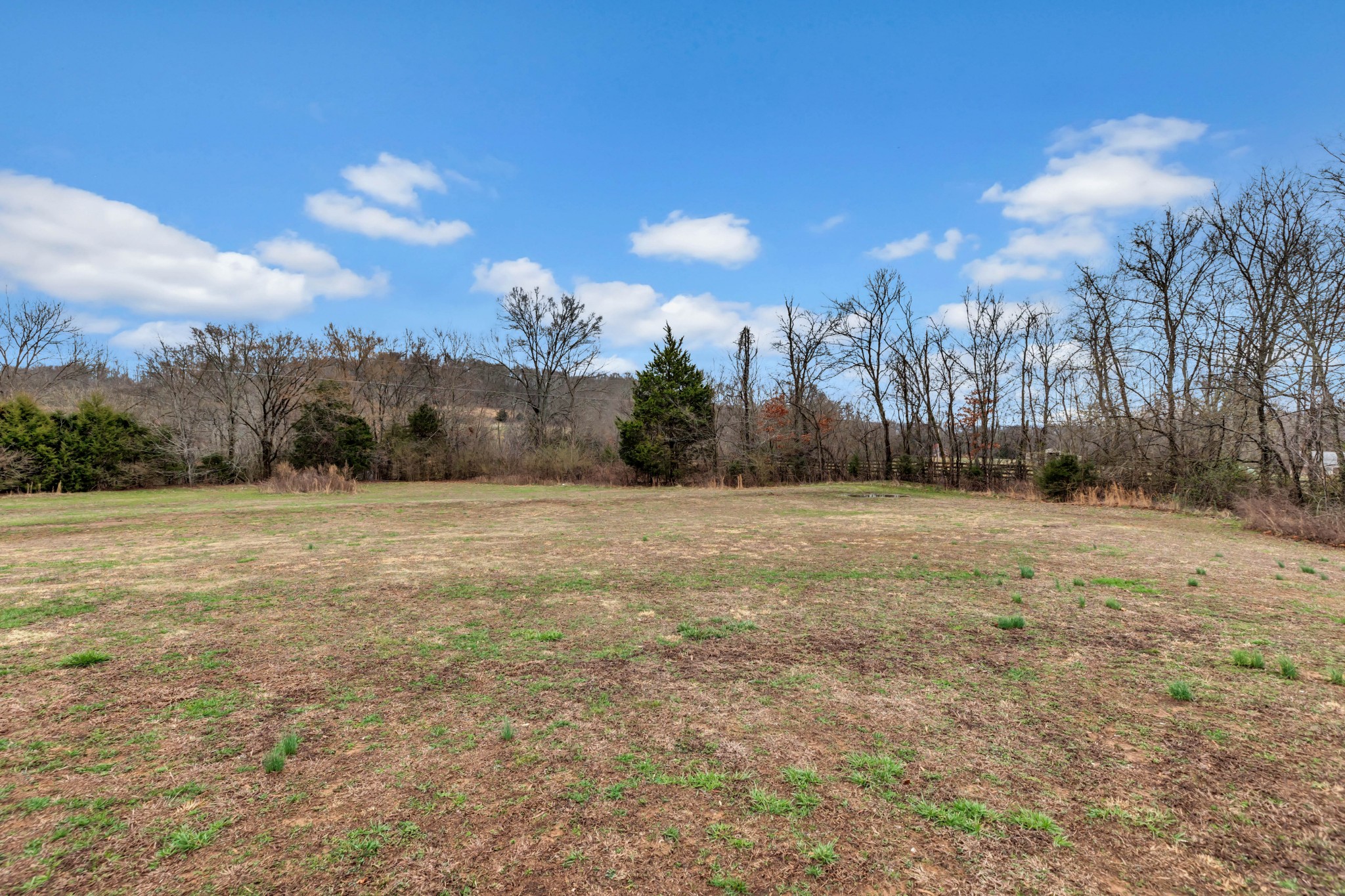 911 Poplar Hill Road Prospect, TN 38477 - Photo 27 of 33 a view of large yard with large trees