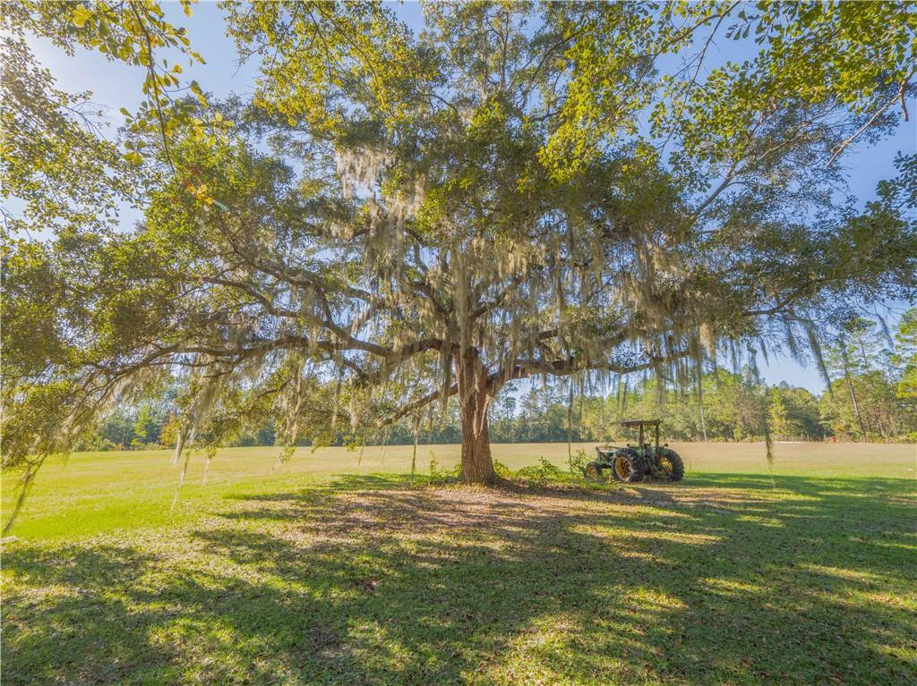 43 Dutch Road Hortense, GA 31543 - Photo 40 of 45 Gallery Image 40