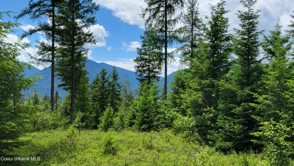 $350,000 | Lane-tract 1 Bonners Ferry, Bonners Ferry, ID 83805