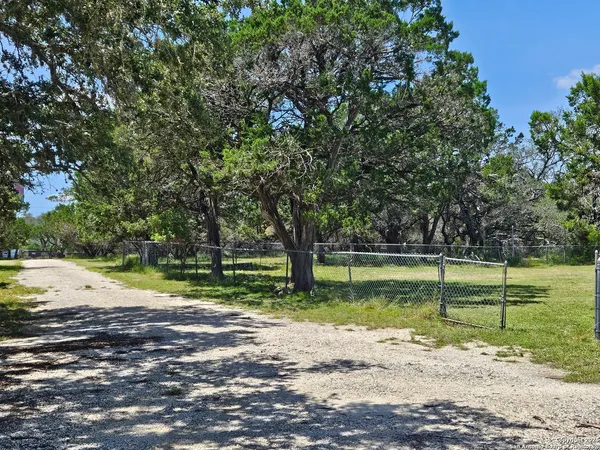 a view of a park with large trees