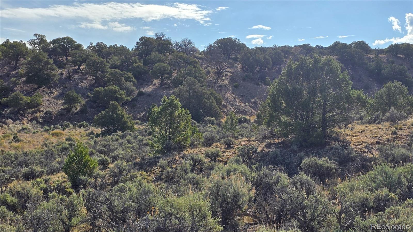 Lot 7340 Sweaney Road Fort Garland, CO 81133 - Photo 13 of 31 Gallery Image 13