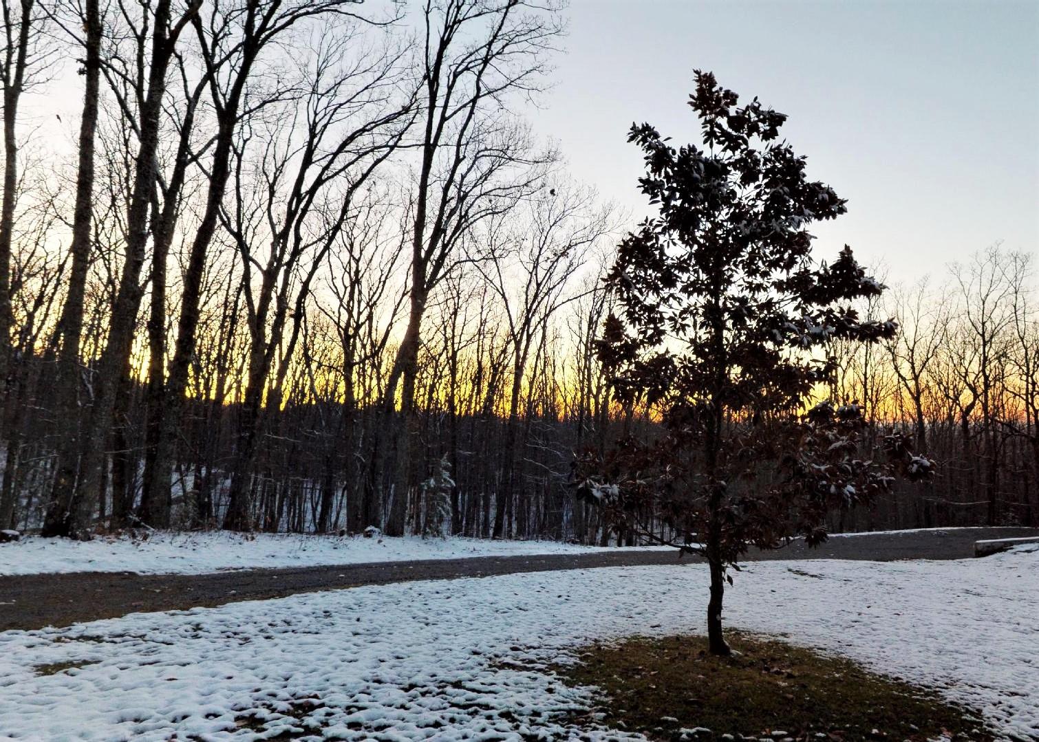 1075 Lightnen Road Parrottsville, TN 37843 - Photo 11 of 48 Winter
