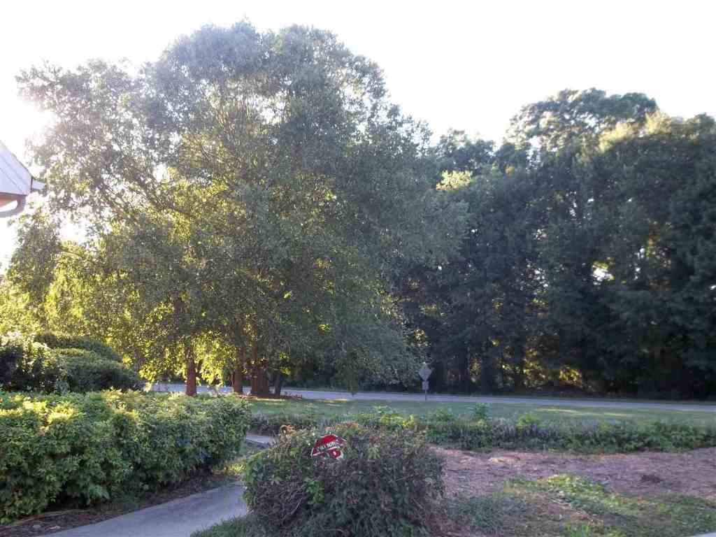 1812 Harris Bridge Road Anderson, SC 29621 - Photo 24 of 25