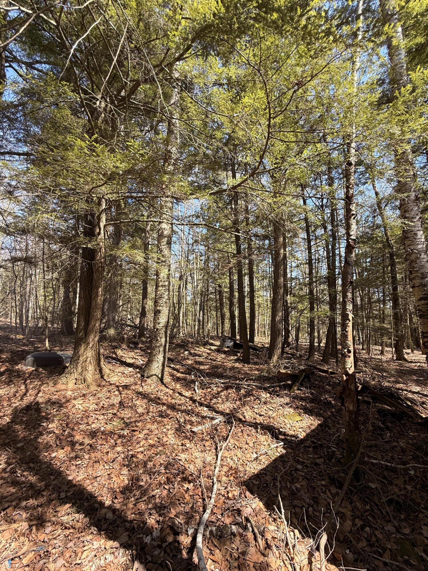 186 Transalpine Road Lincoln, ME 04457 - Photo 27 of 27