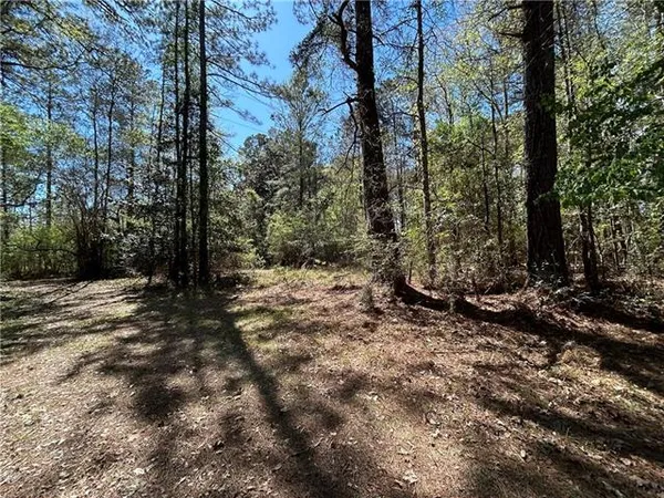 $38,000 | 0 Butter Cemetery Road, Forest Hill, LA 71430