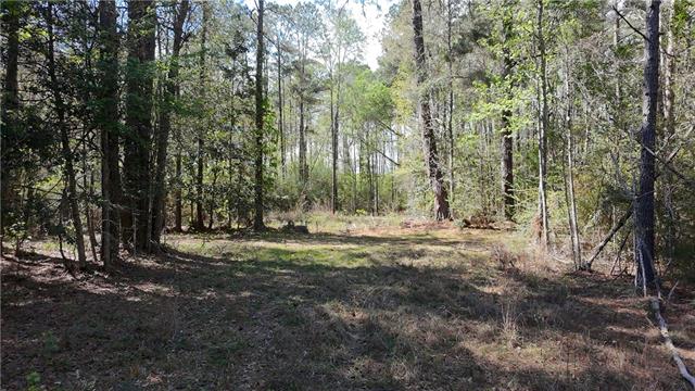 0 Butter Cemetery Road Forest Hill, LA 71430 - Photo 8 of 10