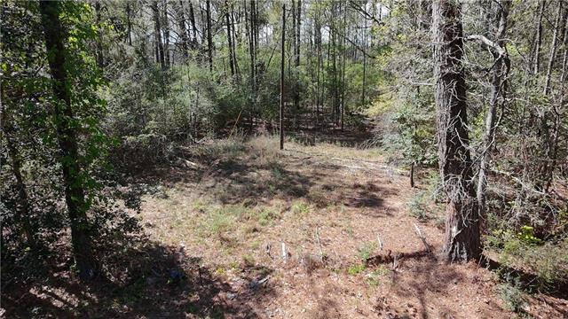 0 Butter Cemetery Road Forest Hill, LA 71430 - Photo 9 of 10