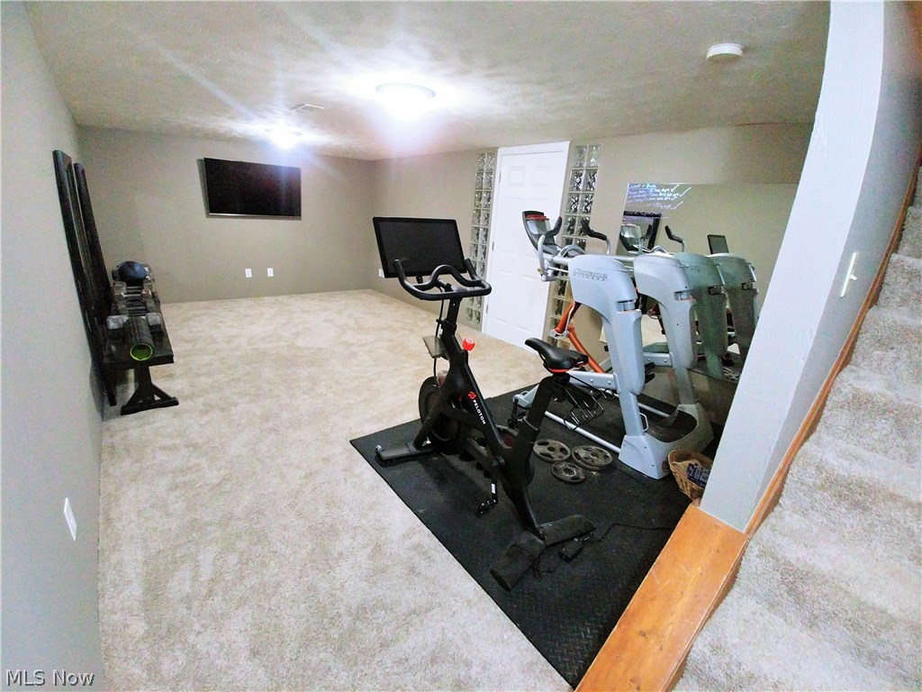 3075 Hood Road Medina, OH 44256 - Photo 23 of 30 Lower Level Rec Room