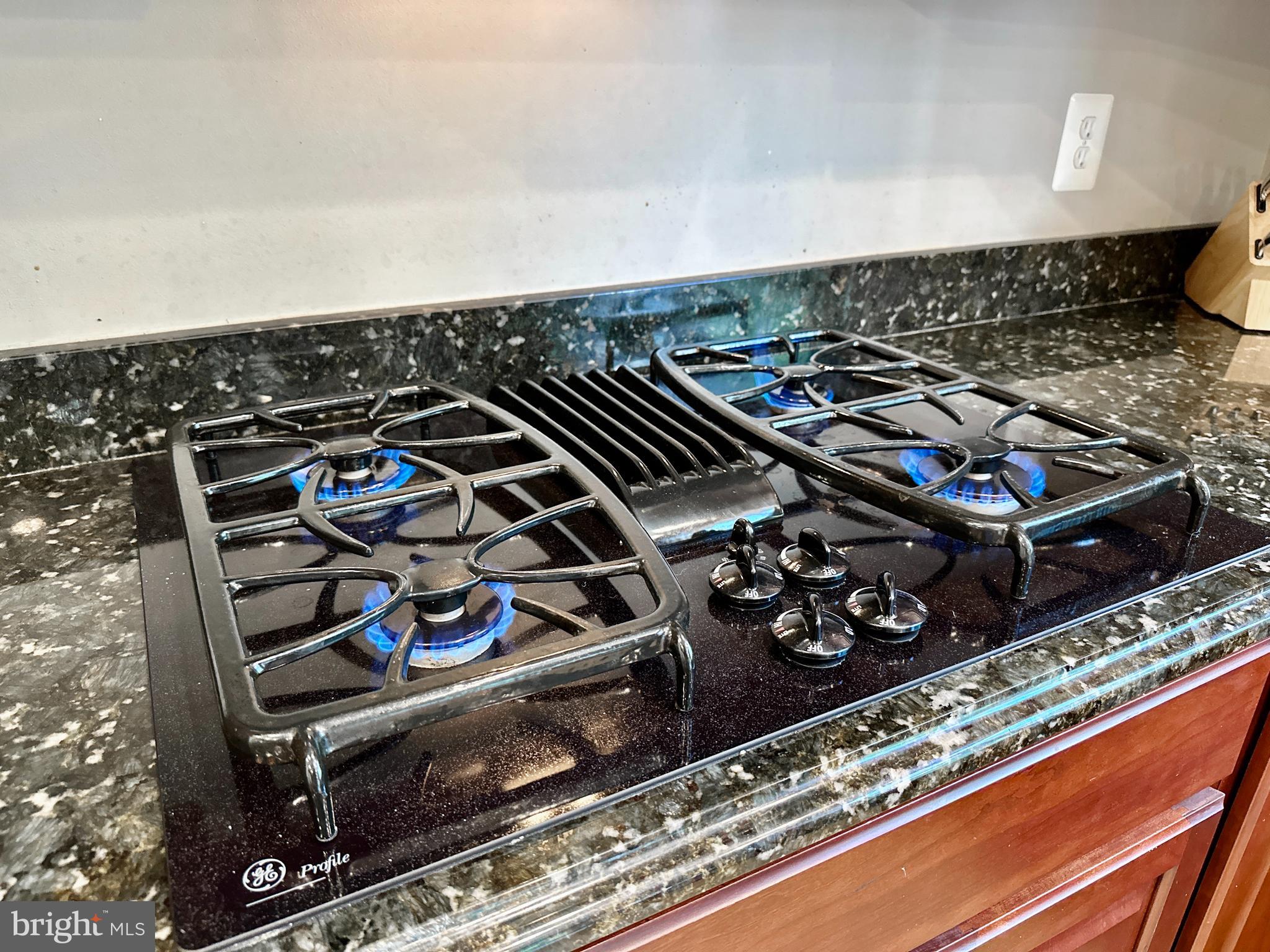 513 Broad Stream Lane Riva, MD 21140 - Photo 17 of 67