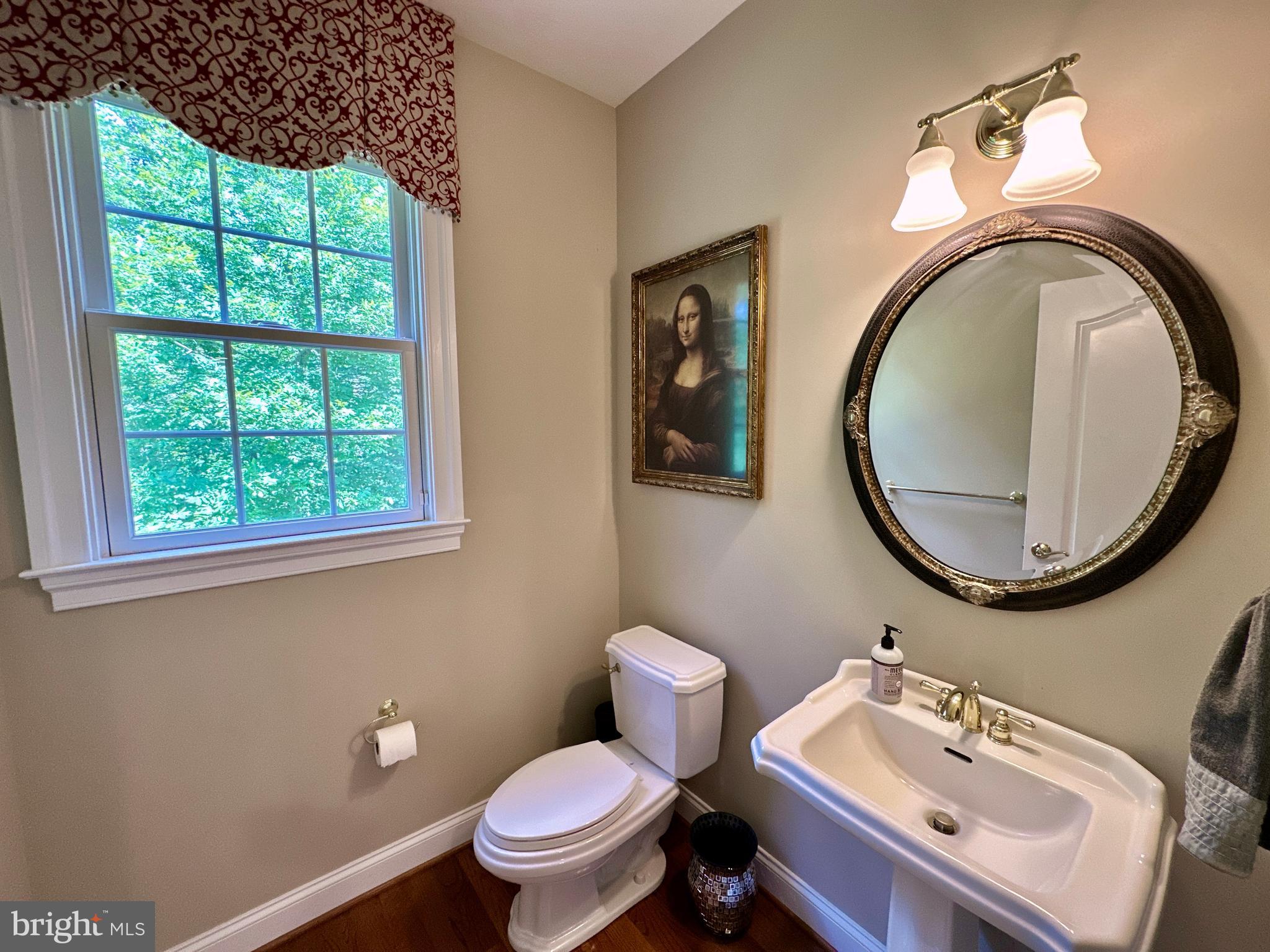 513 Broad Stream Lane Riva, MD 21140 - Photo 32 of 67 a bathroom with a sink mirror and toilet