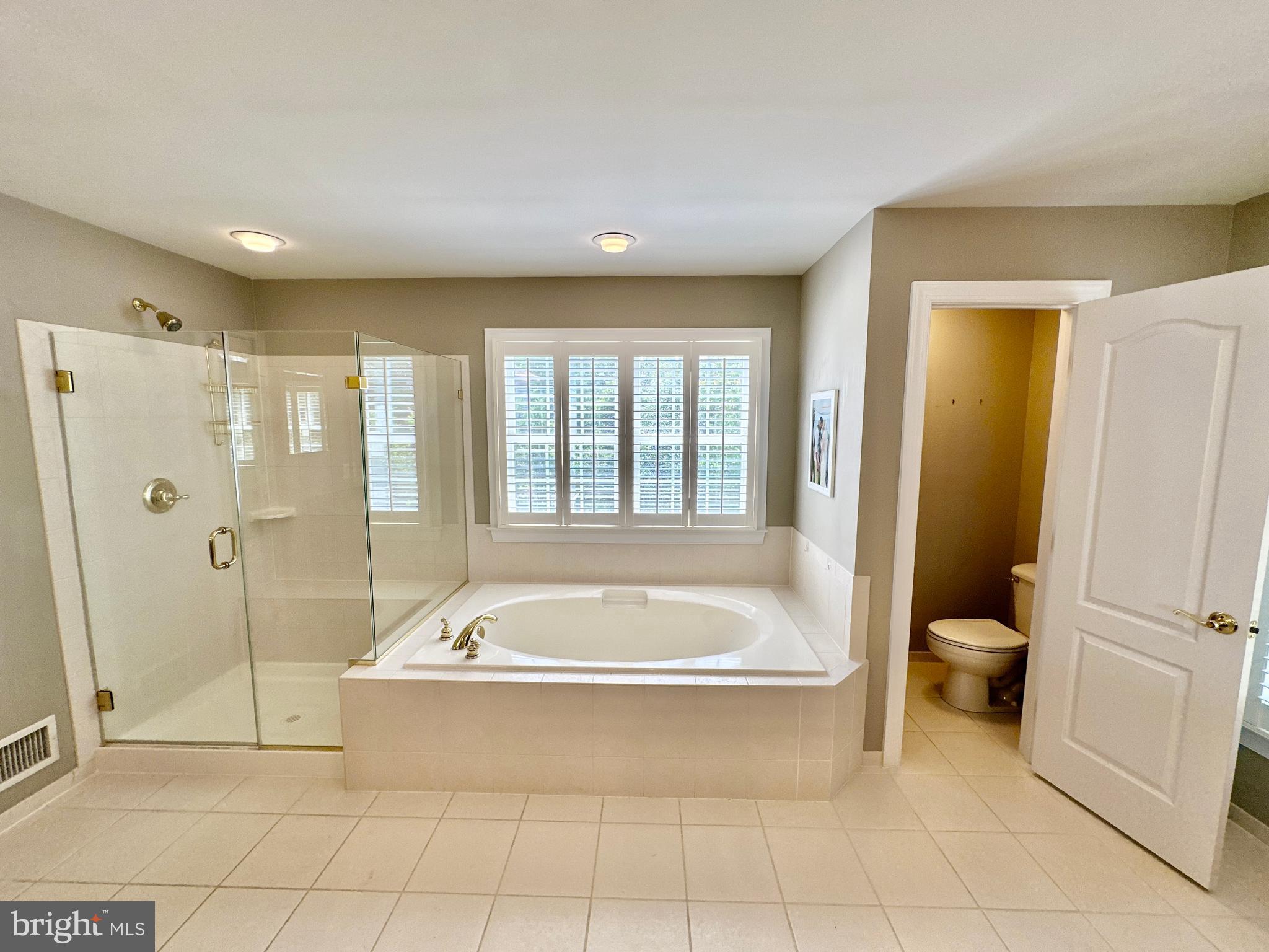 513 Broad Stream Lane Riva, MD 21140 - Photo 38 of 67 a spacious bathroom with a bathtub and a shower