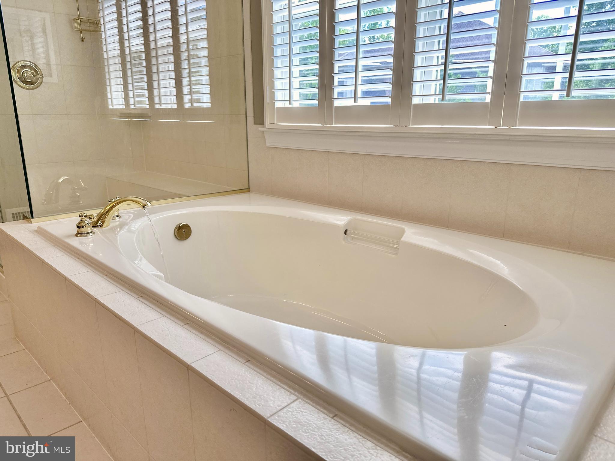 513 Broad Stream Lane Riva, MD 21140 - Photo 39 of 67 a bathroom with a bathtub and next to a window