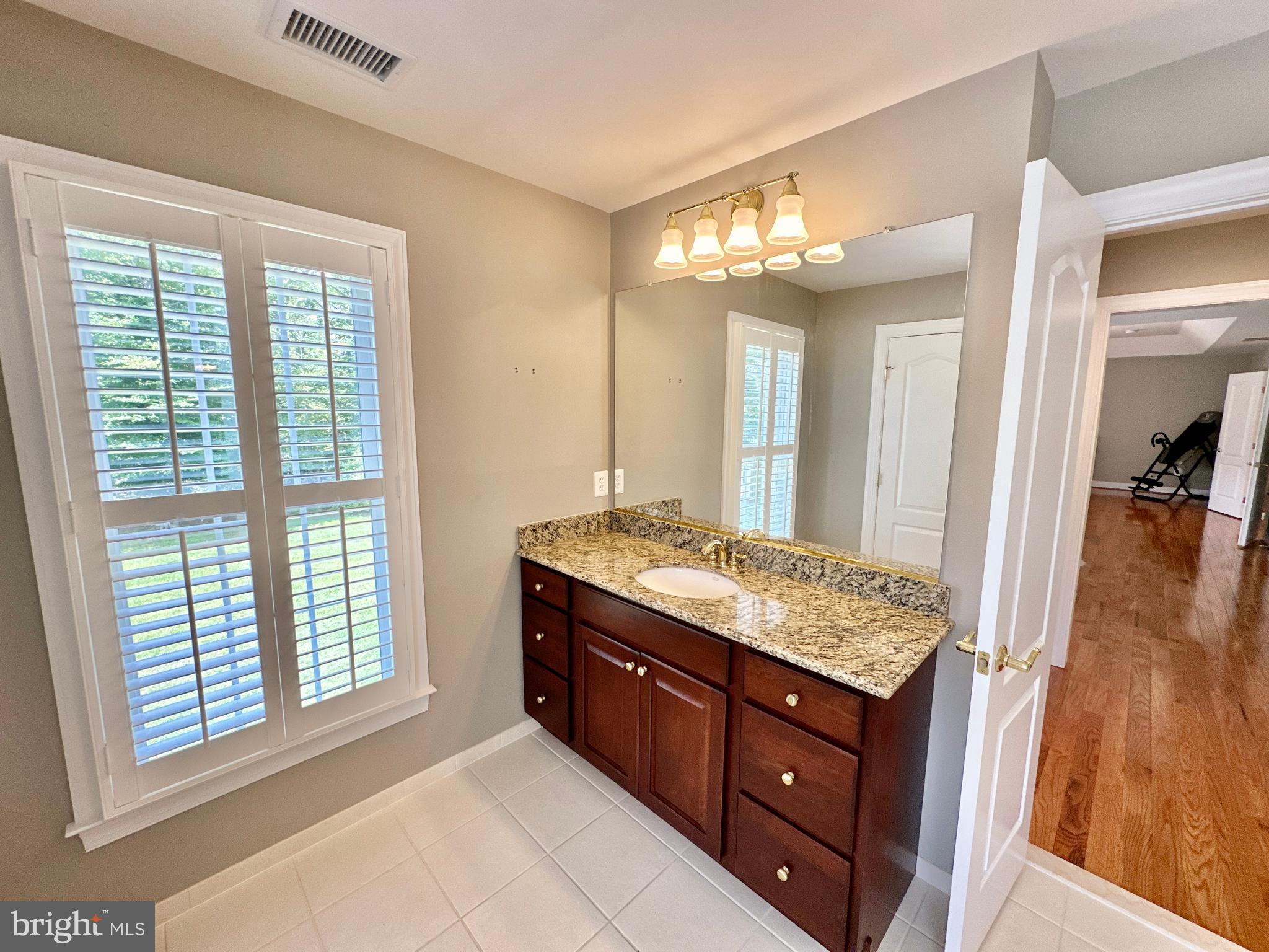 513 Broad Stream Lane Riva, MD 21140 - Photo 42 of 67 a bathroom with a sink vanity and a mirror