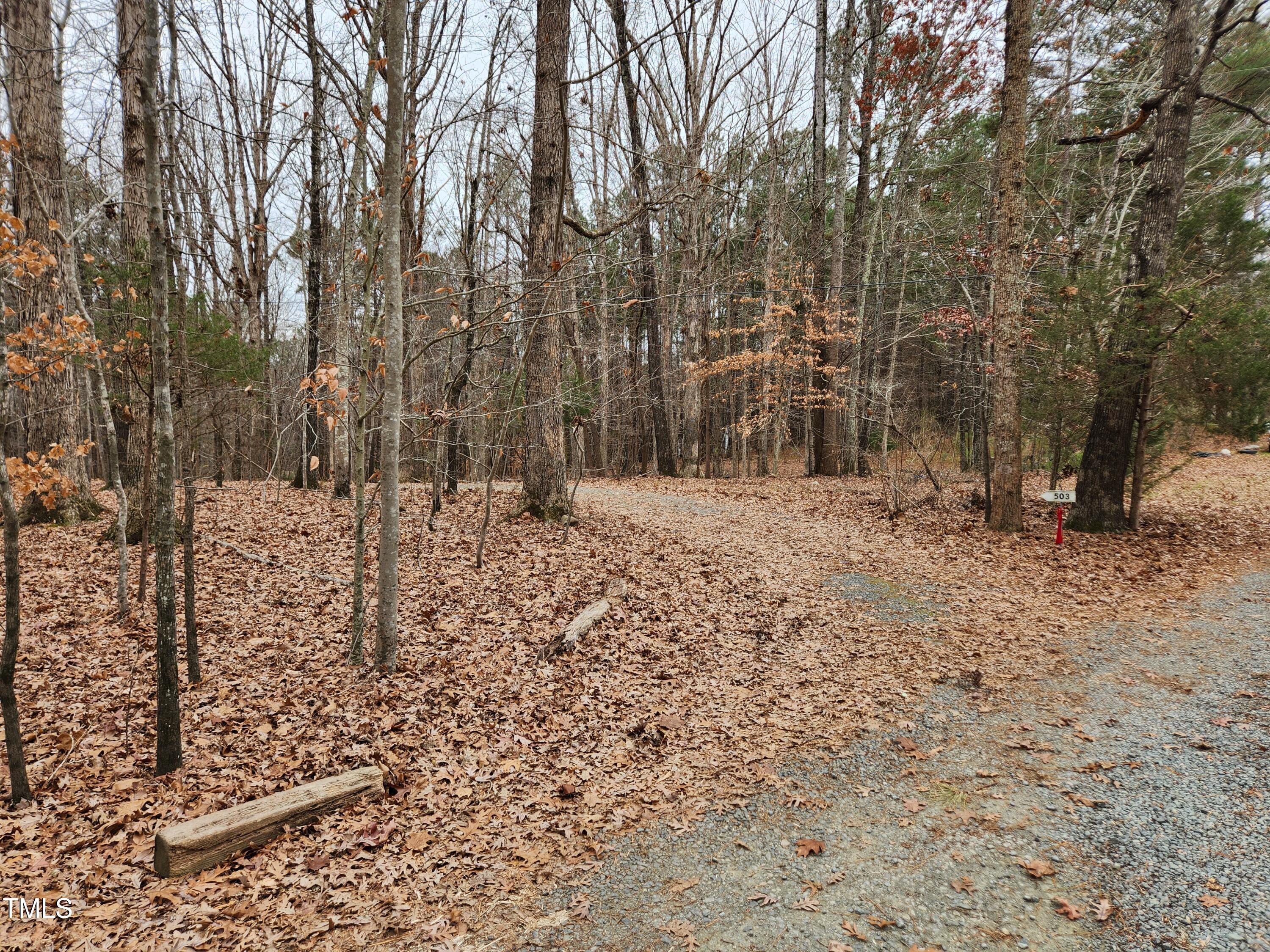 0 Old School Road Chapel Hill, NC 27516 - Photo 12 of 22 20241219_121317