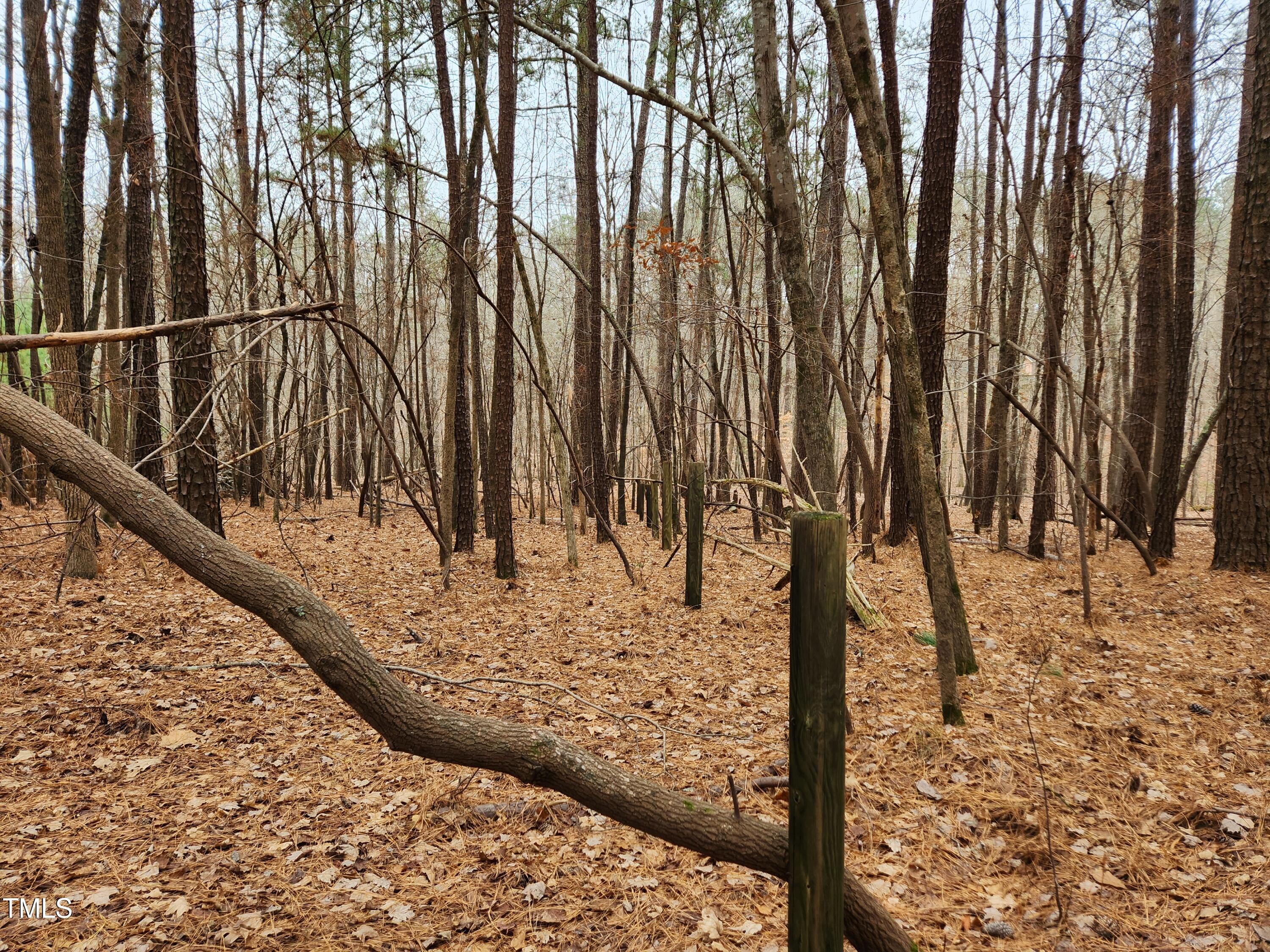 0 Old School Road Chapel Hill, NC 27516 - Photo 18 of 22 20241219_122108