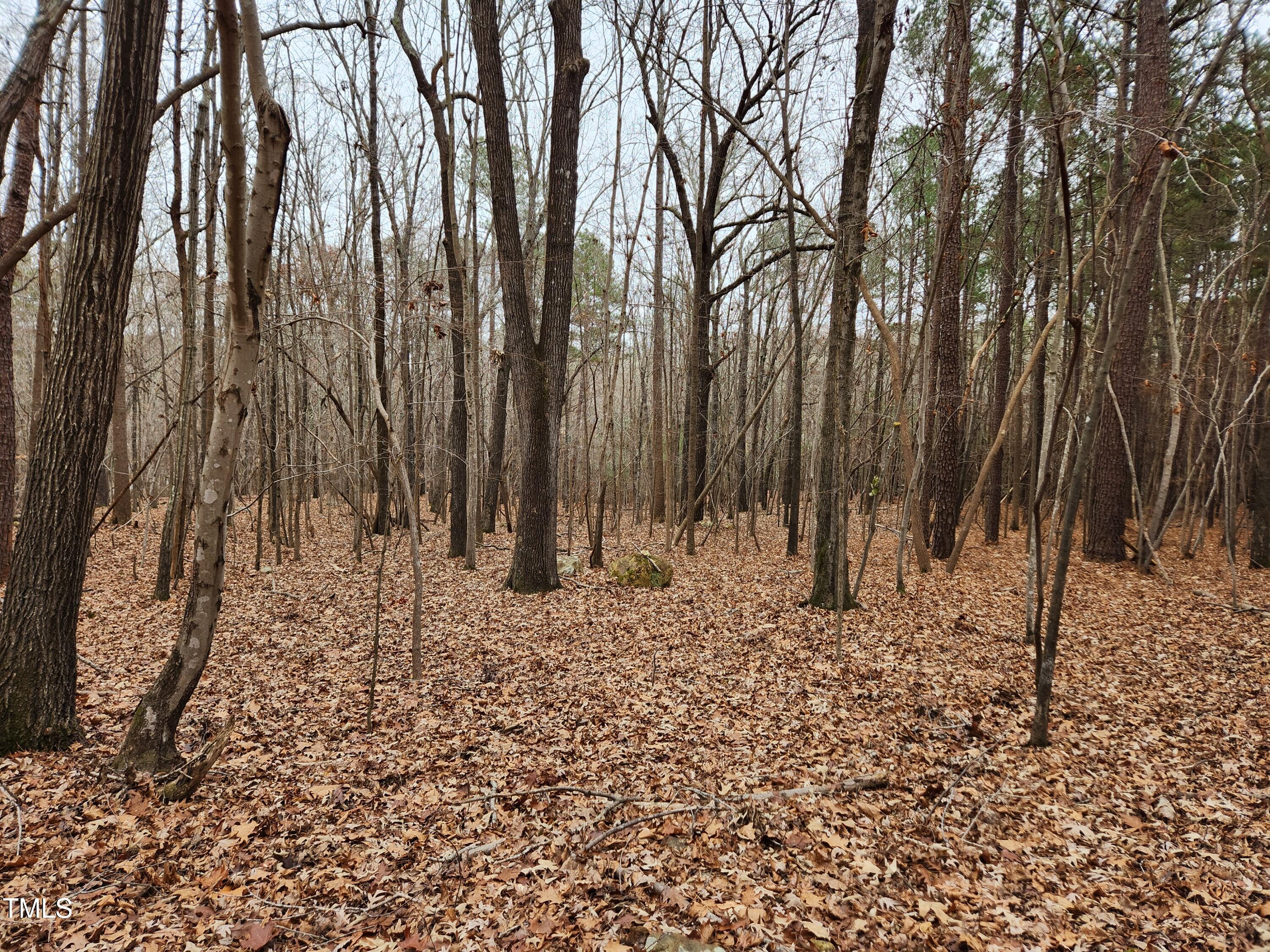 0 Old School Road Chapel Hill, NC 27516 - Photo 21 of 22 20241219_122431