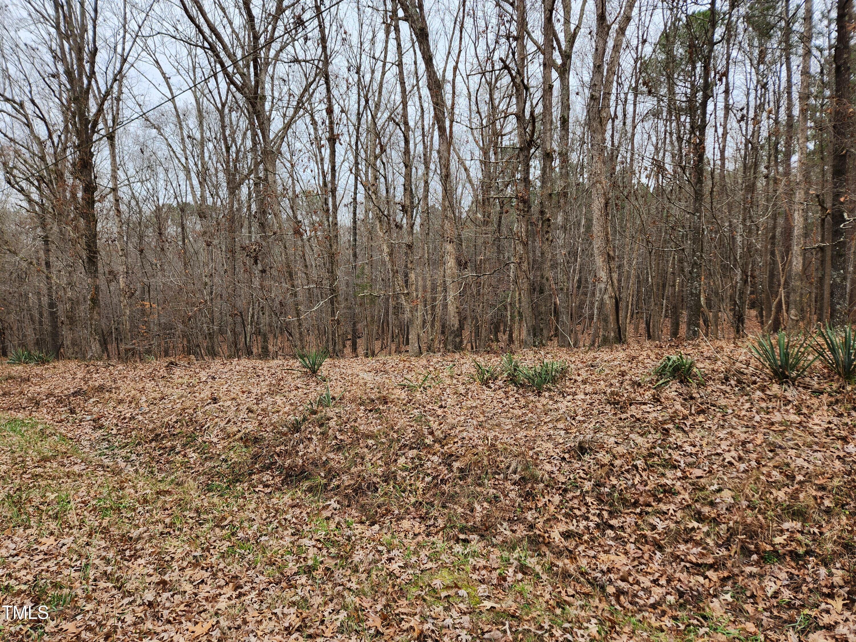 0 Old School Road Chapel Hill, NC 27516 - Photo 6 of 22 20241219_121018