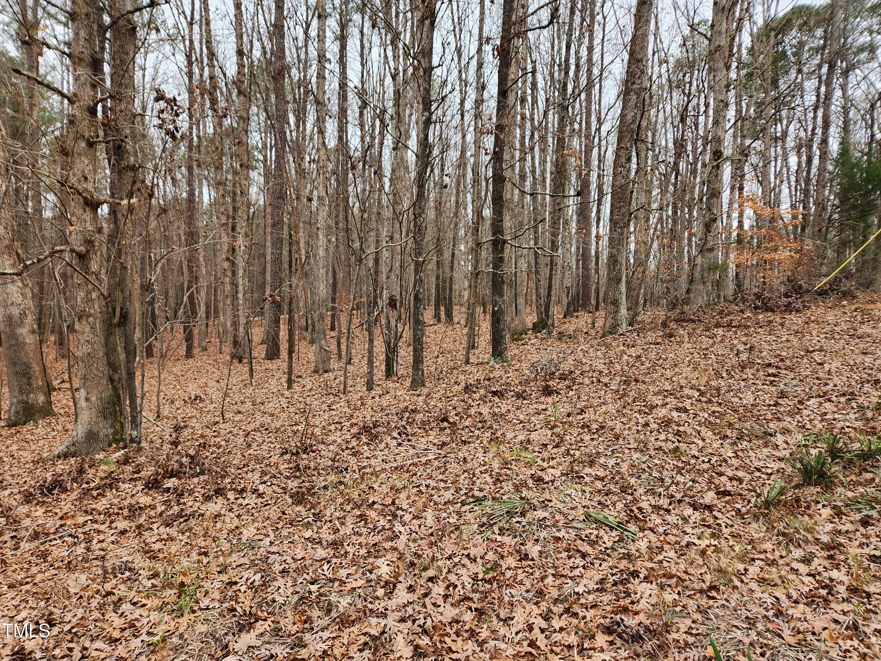 0 Old School Road Chapel Hill, NC 27516 - Photo 8 of 22 20241219_121039