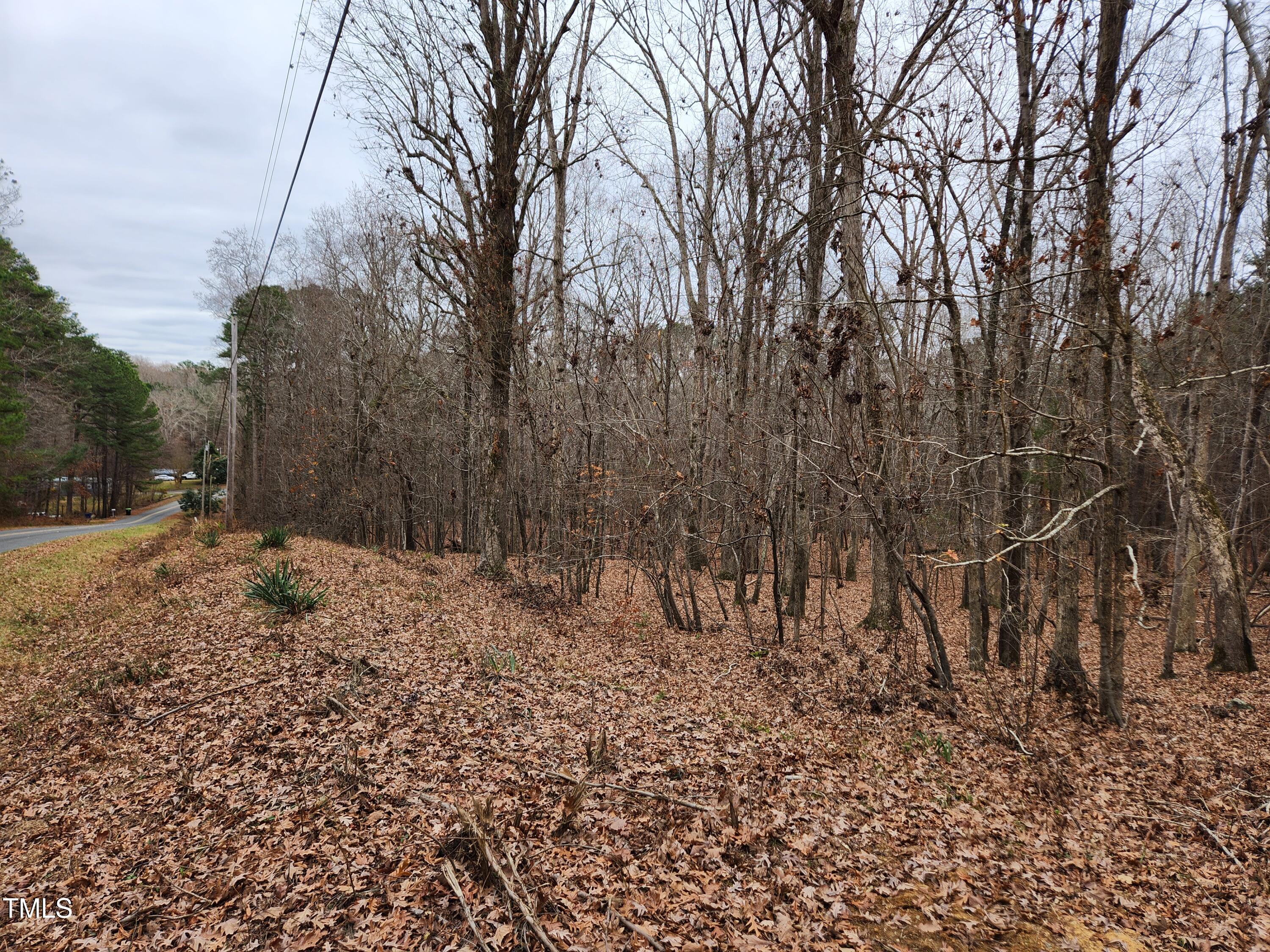 0 Old School Road Chapel Hill, NC 27516 - Photo 9 of 22 20241219_121048