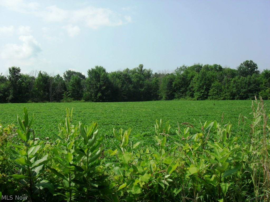 8080 Struthers Road Youngstown, OH 44514 - Photo 9 of 16 Gallery Image 9