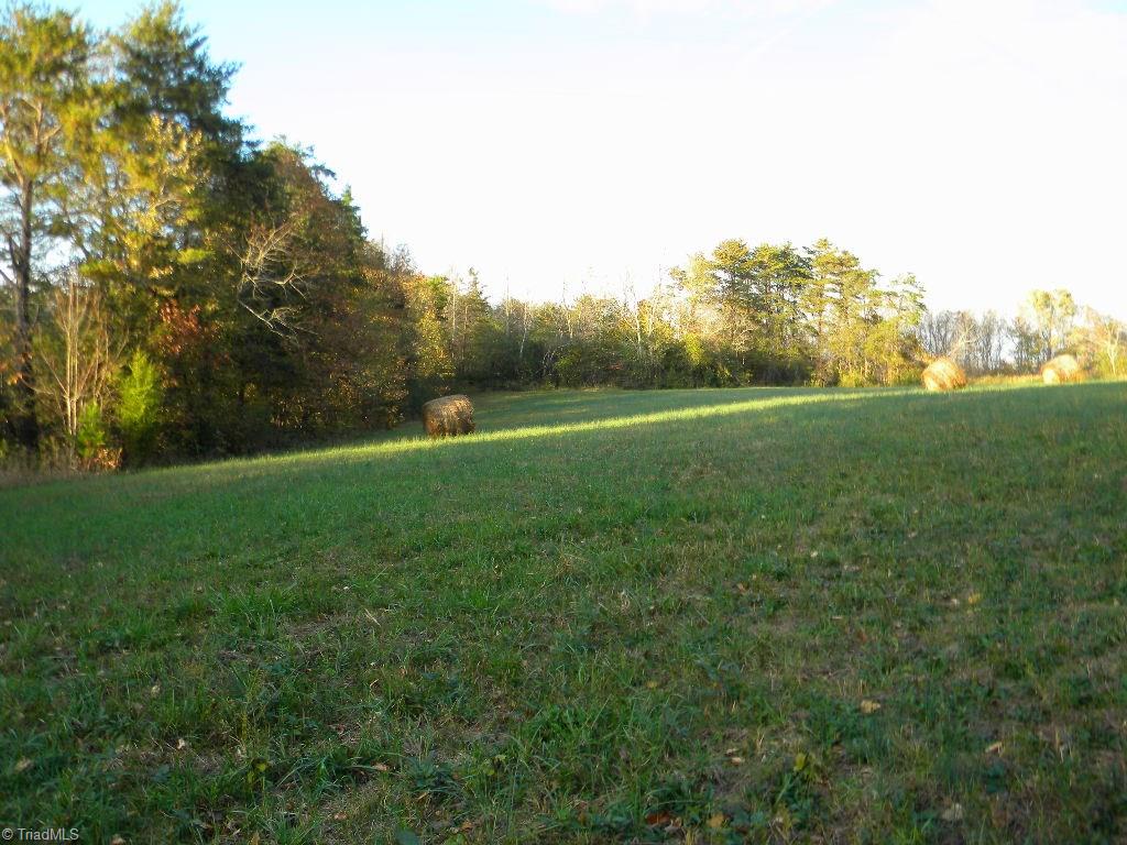Tract A Stevens Road Westfield, NC 27053 - Photo 1 of 10