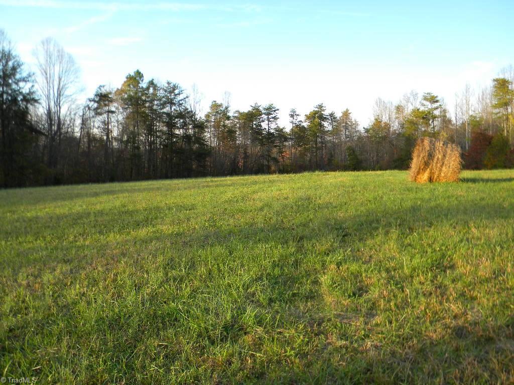 Tract A Stevens Road Westfield, NC 27053 - Photo 2 of 10