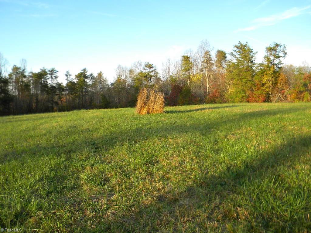 Tract A Stevens Road Westfield, NC 27053 - Photo 3 of 10