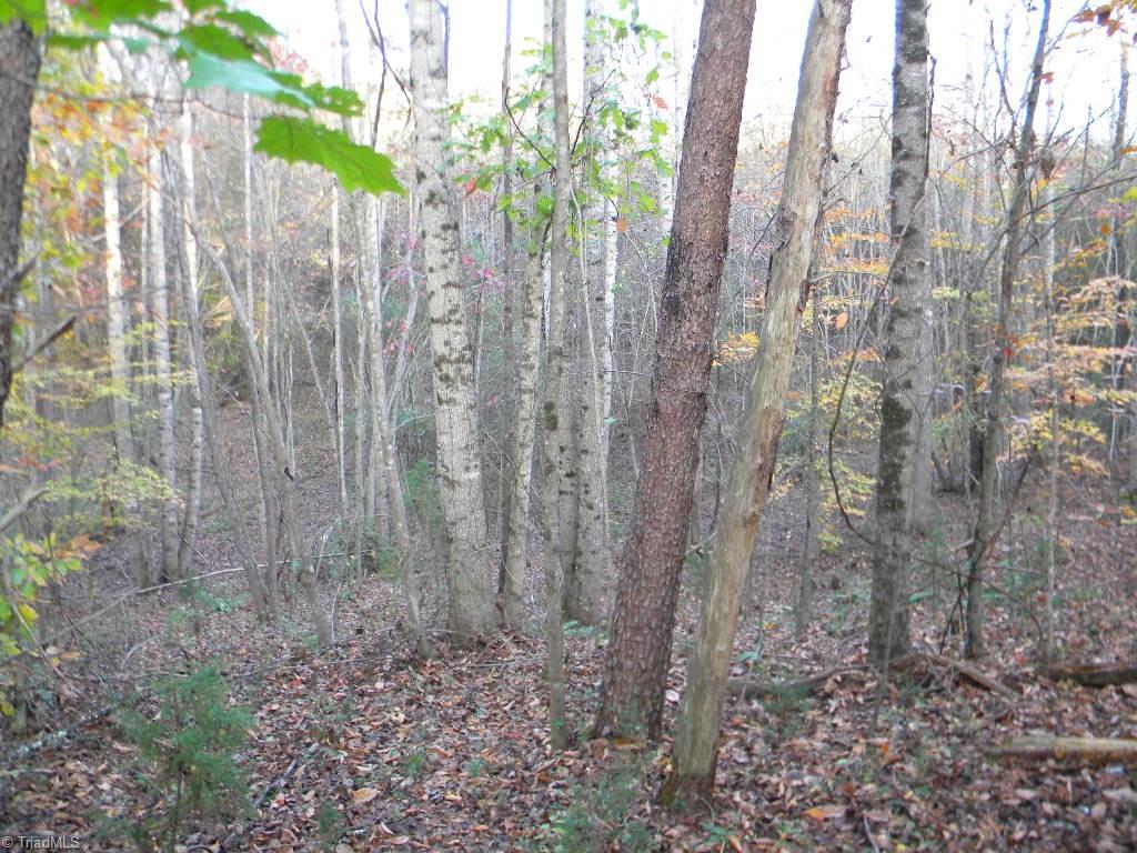 Tract A Stevens Road Westfield, NC 27053 - Photo 4 of 10