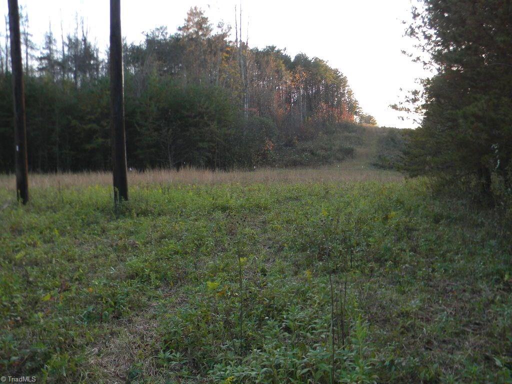 Tract A Stevens Road Westfield, NC 27053 - Photo 5 of 10