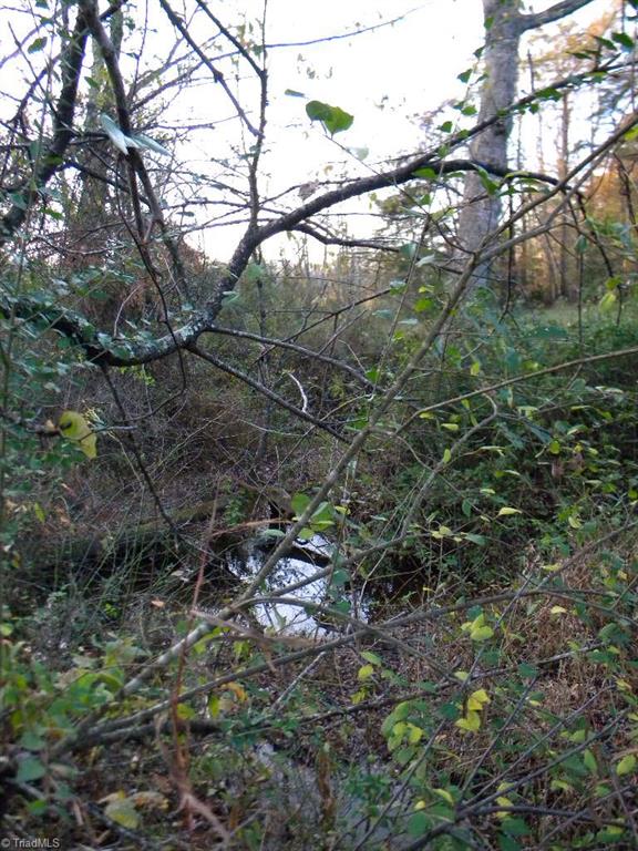Tract A Stevens Road Westfield, NC 27053 - Photo 6 of 10