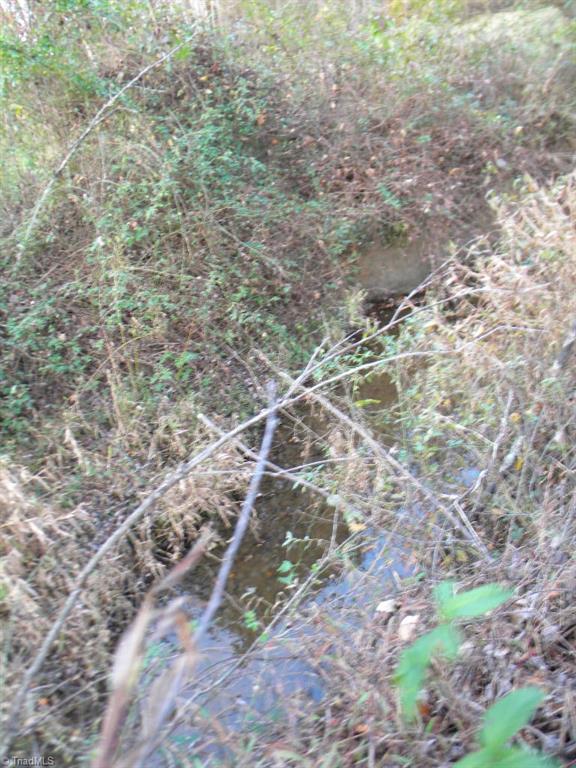 Tract A Stevens Road Westfield, NC 27053 - Photo 7 of 10