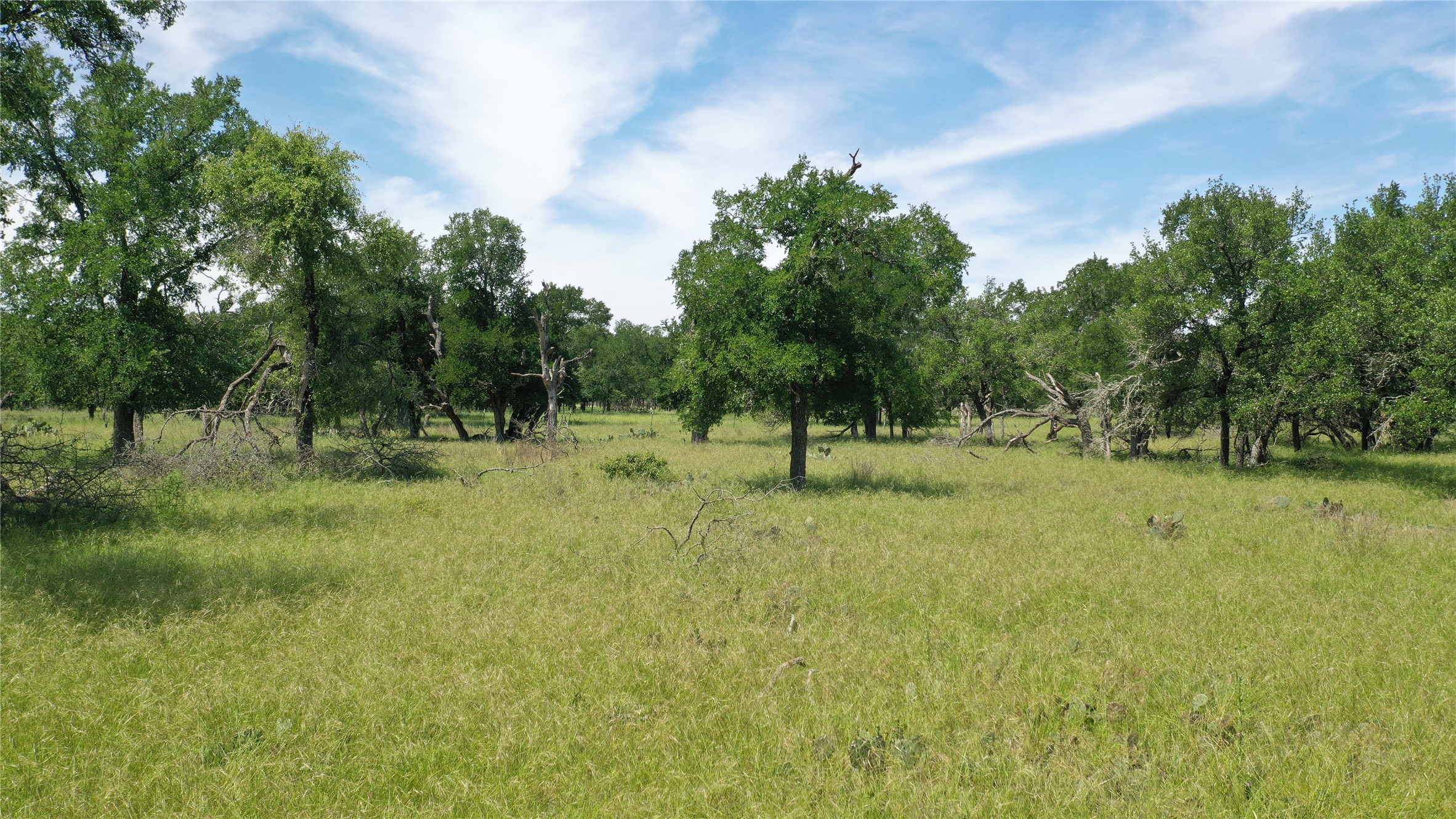 3215 County Road 305 Jarrell, TX 76537 - Photo 16 of 23