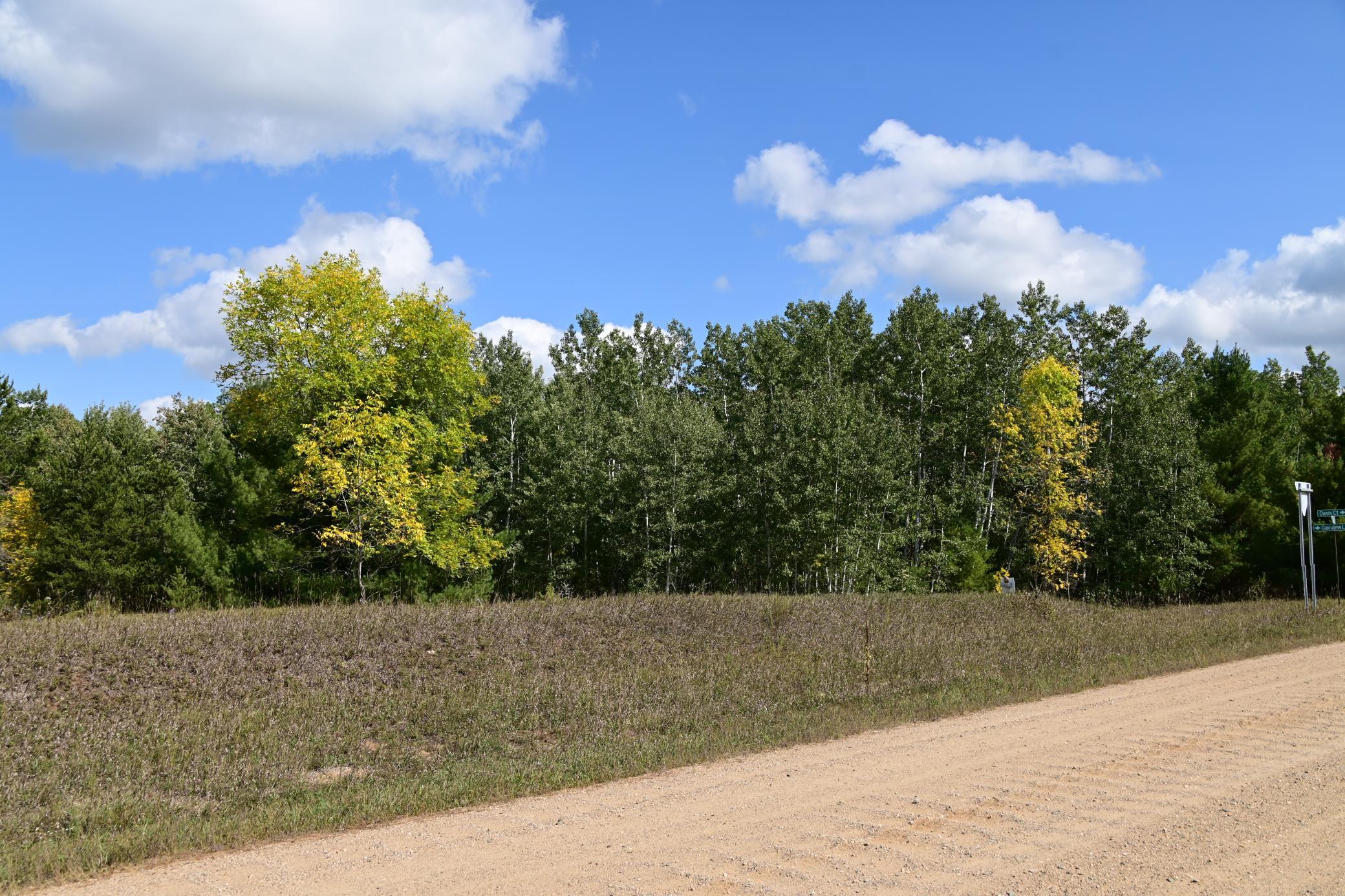 Tbd Oak Drive Browerville, MN 56438 - Photo 11 of 28