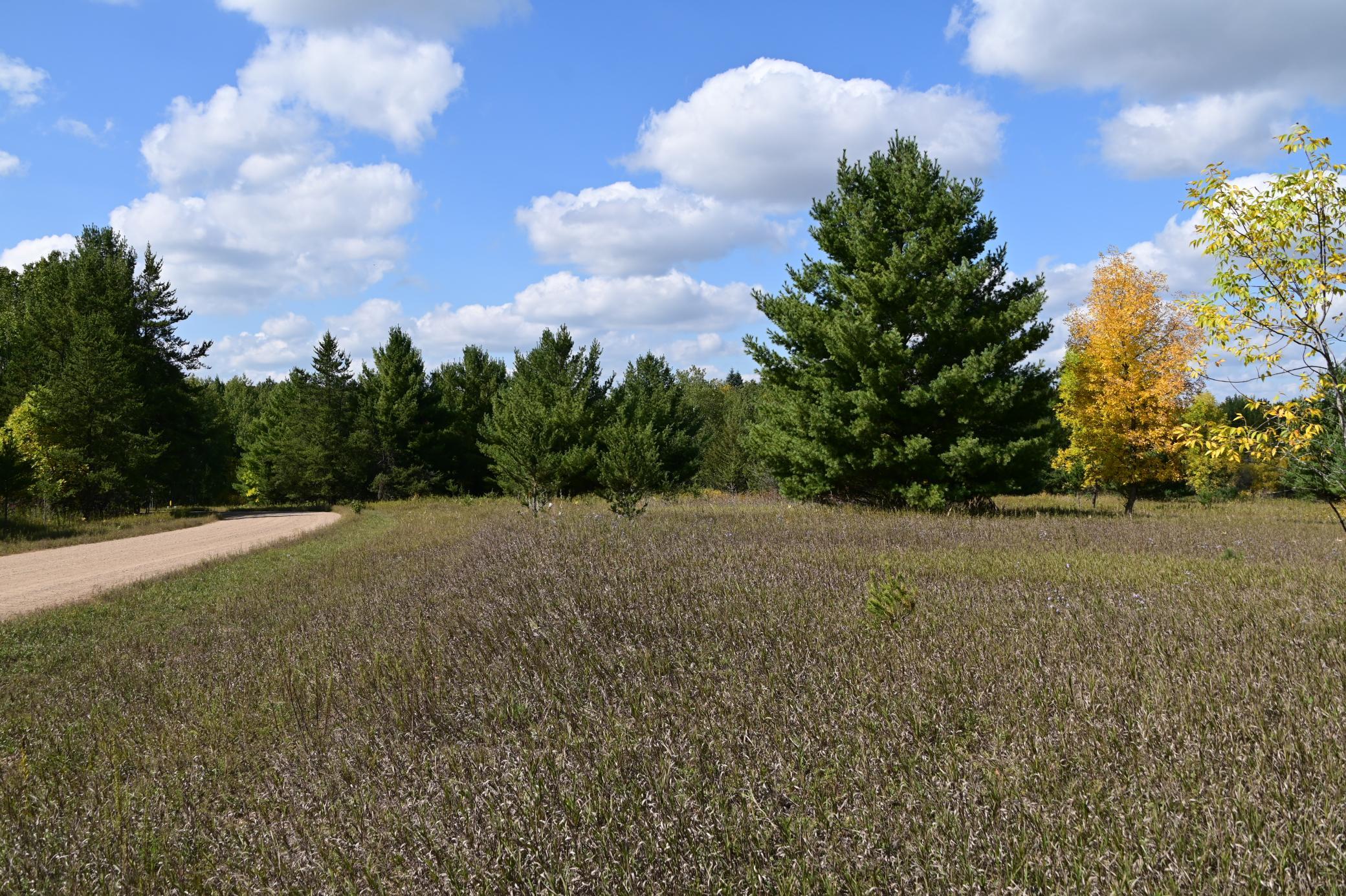 Tbd Oak Drive Browerville, MN 56438 - Photo 12 of 28