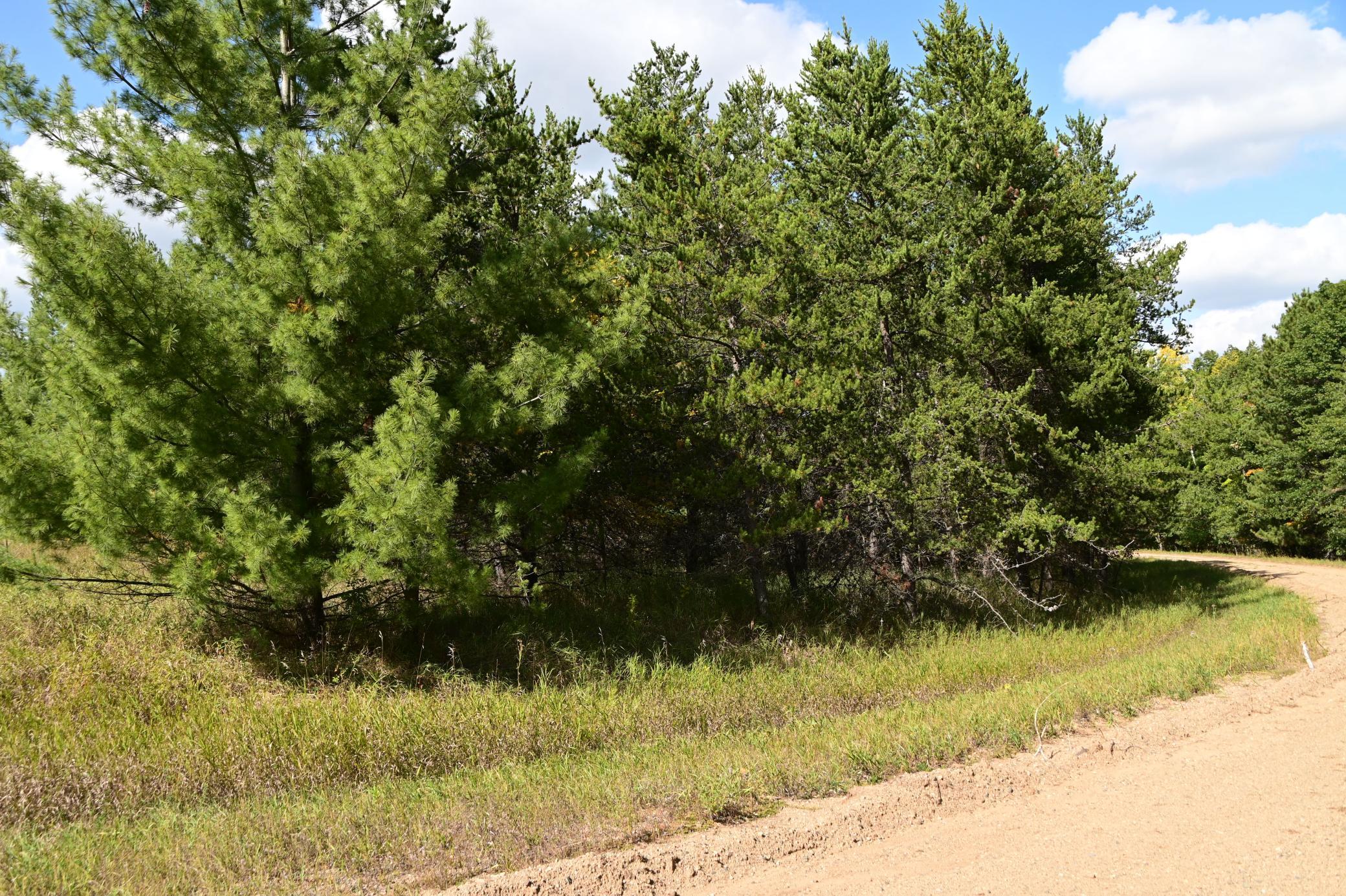 Tbd Oak Drive Browerville, MN 56438 - Photo 13 of 28