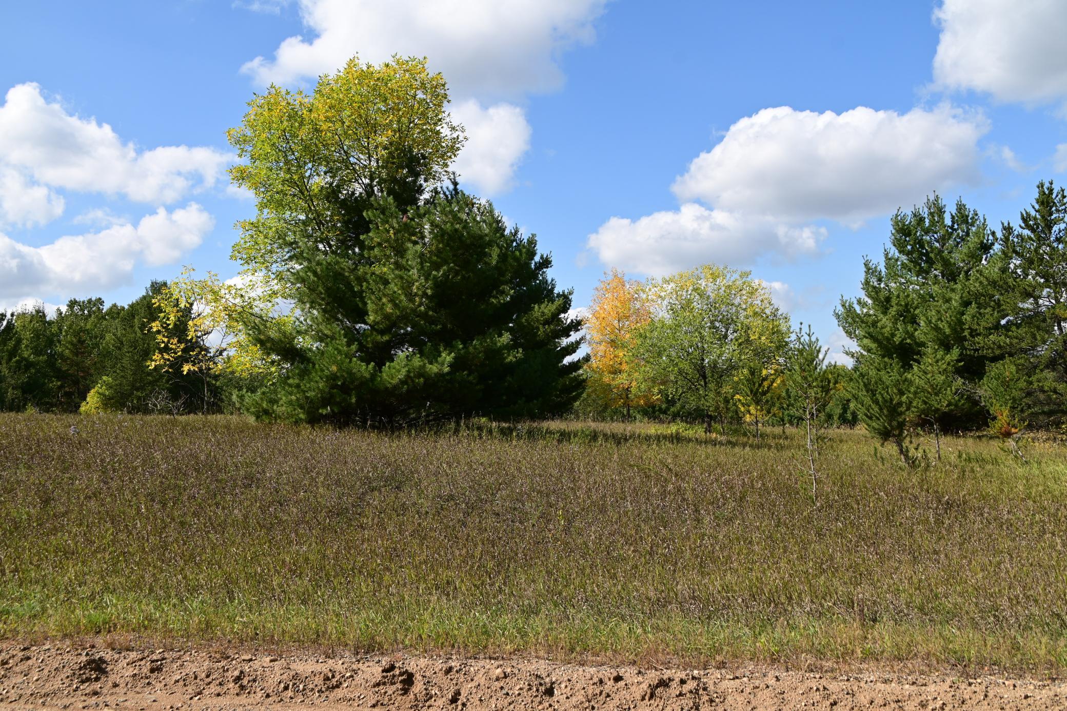 Tbd Oak Drive Browerville, MN 56438 - Photo 7 of 28