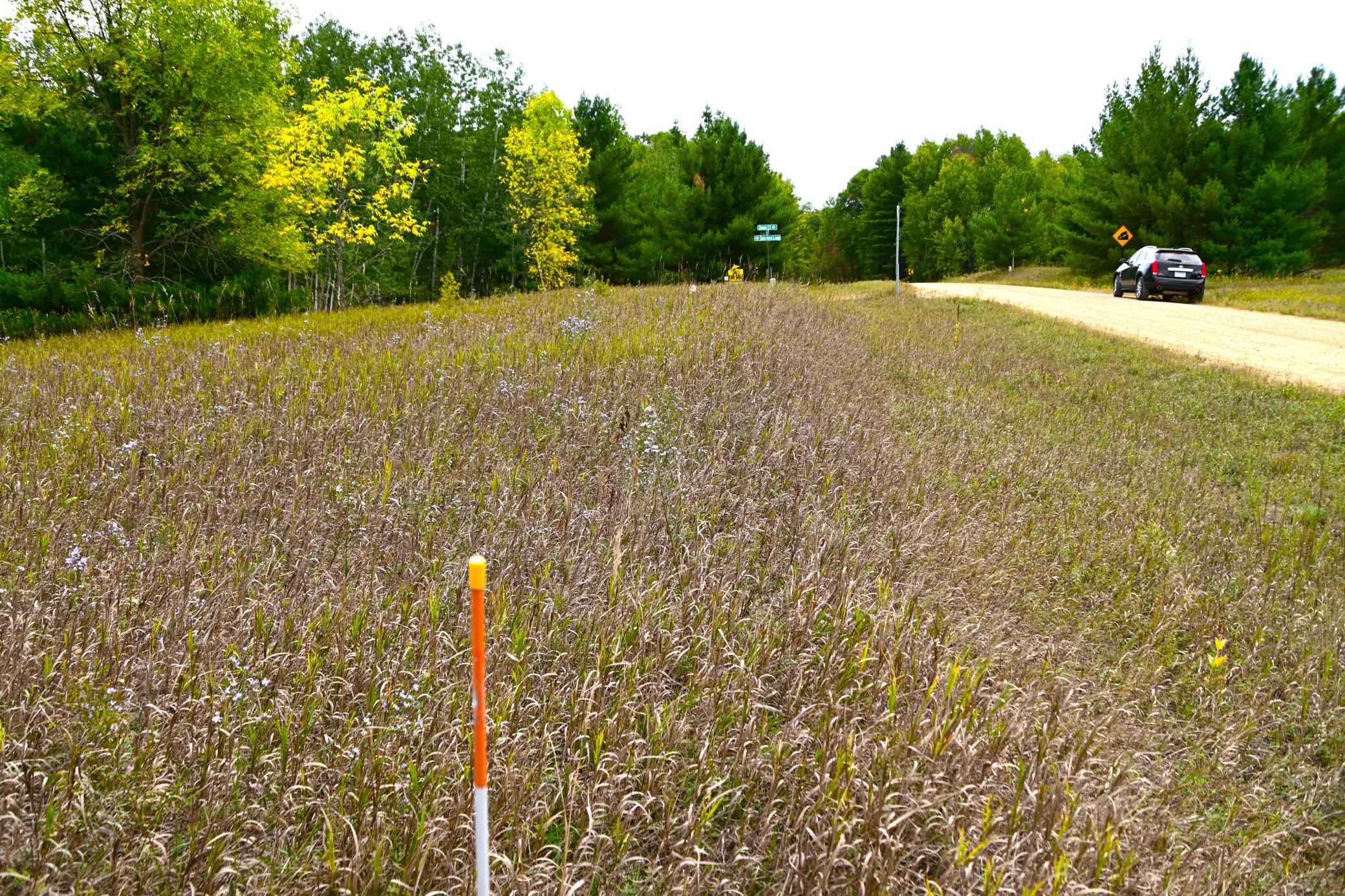 Tbd Oak Drive Browerville, MN 56438 - Photo 8 of 28