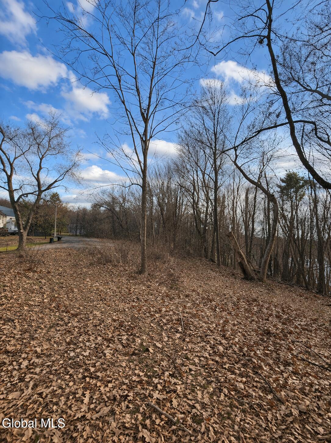 0 Prospect Way Rensselaer, NY 12144 - Photo 3 of 4 Prospect Way image 6
