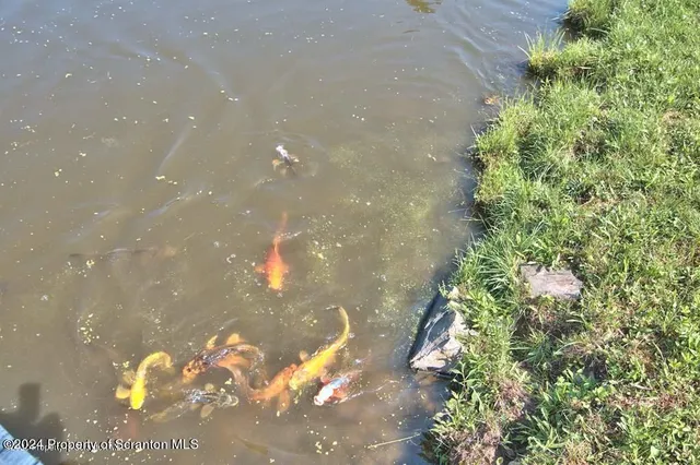 $849,000 | 20429 Highway 171, Susquehanna, PA 18847