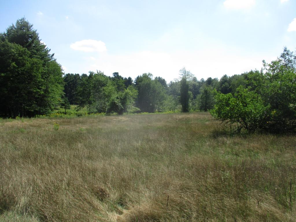 268 Cornwell Road Greenfield, NH 03047 - Photo 2 of 8
