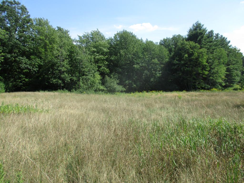 268 Cornwell Road Greenfield, NH 03047 - Photo 3 of 8