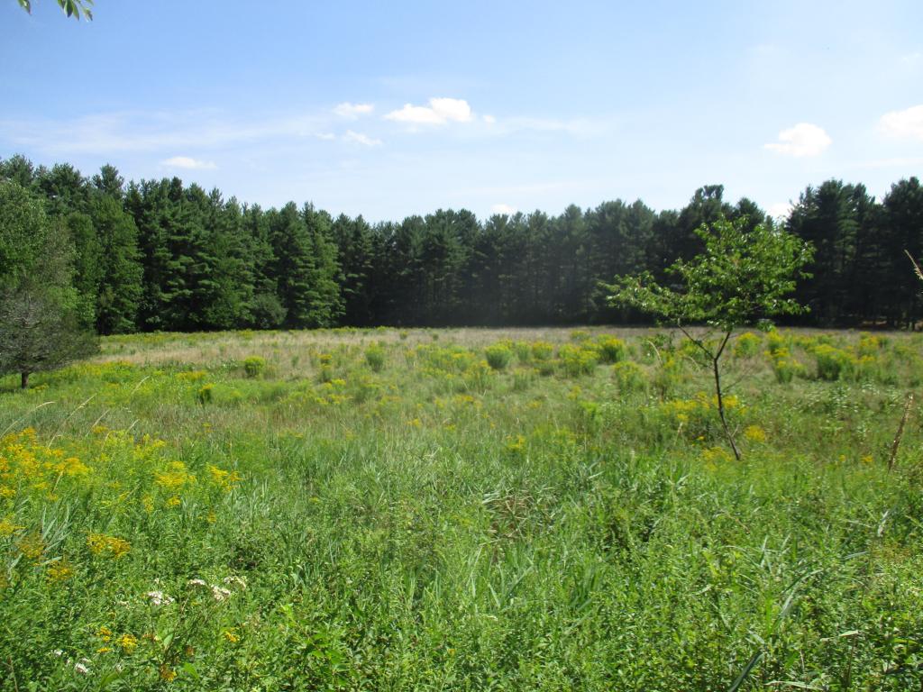 268 Cornwell Road Greenfield, NH 03047 - Photo 4 of 8
