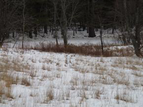 268 Cornwell Road Greenfield, NH 03047 - Photo 6 of 8